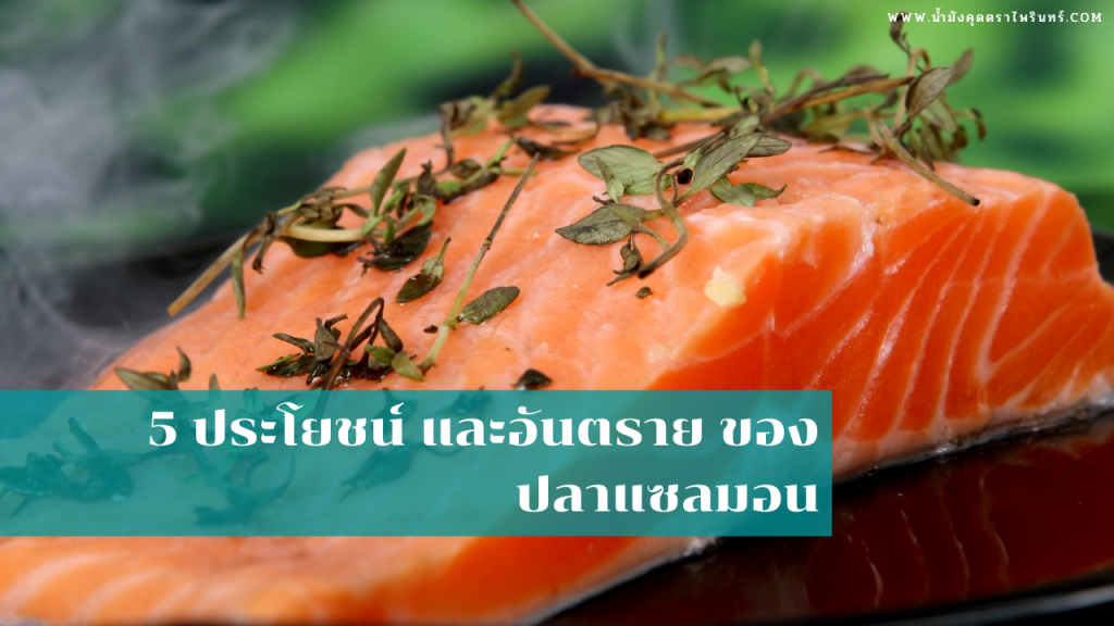5 ประโยชน์ และอันตราย ของปลาแซลมอน